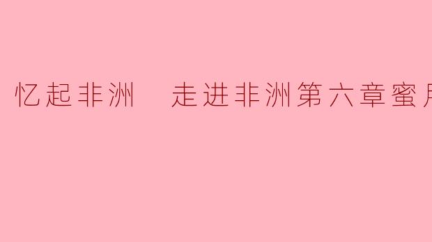 忆起非洲 走进非洲第六章蜜月旅行